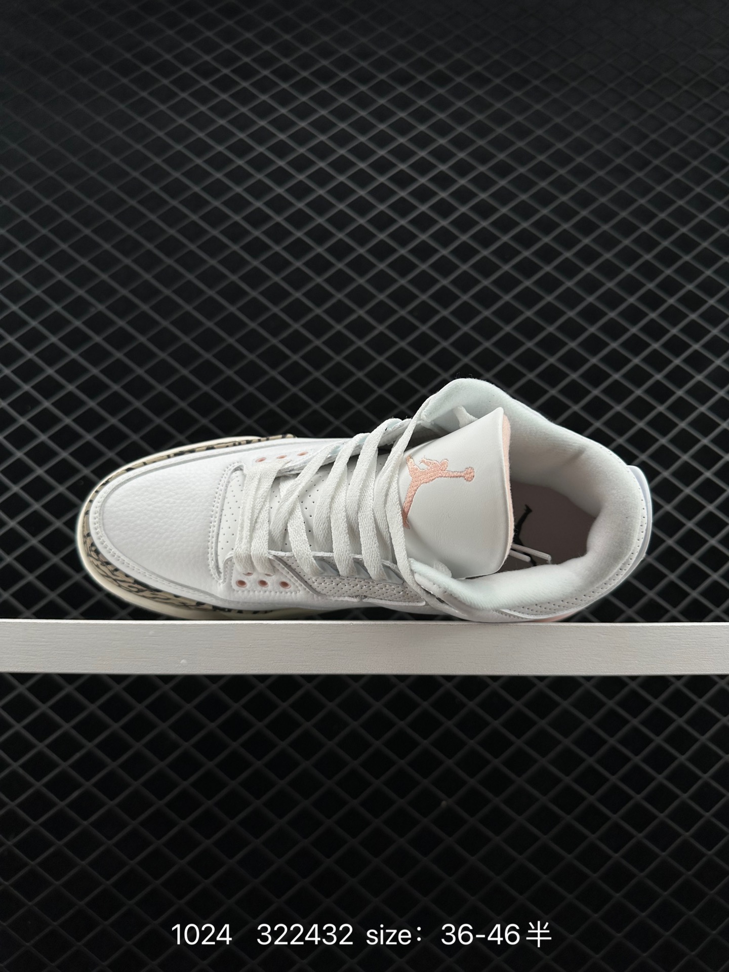 Nike Air Jordan 3 Retro SE